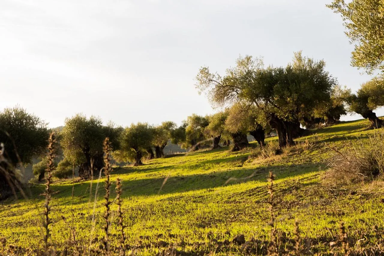 **  Hotel Tugasa Las Truchas El Bosque Spagna